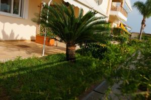 Fotografie z fotogalerie ubytování Petra Thea Apartments 2 v destinaci Kalamata