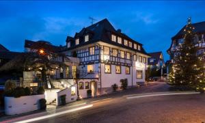 a large white building with a christmas tree in front of it at Hotel Guter Tropfen in Hagnau +22 photos