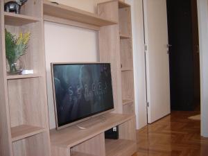 TV/Unterhaltungsangebot in der Unterkunft Apartment Jedinstvo