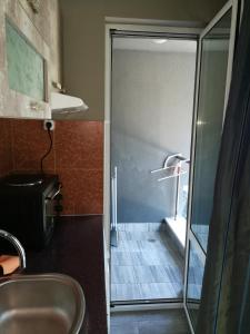a bathroom with a shower with a sink and a shower at Studio 11 Plovdiv in Plovdiv