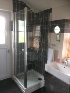 a bathroom with a shower and a sink at Garth Engan Private Self Contained B&B with Garden Area in Llanbedr