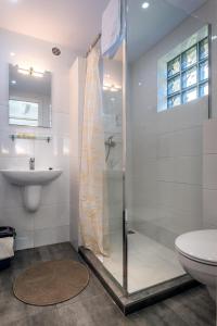 a bathroom with a shower and a toilet and a sink at Domki Jasna Polana in Jastrzębia Góra