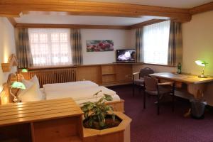 TV a/nebo společenská místnost v ubytování Hotel-Restaurant Johanneshof