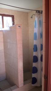 Bilik mandi di Hostal Las Kañas