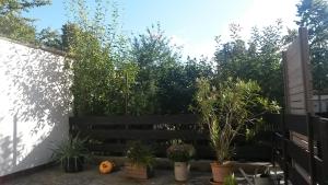 einen Garten mit Topfpflanzen und einem Zaun in der Unterkunft Eulennest-lu in Ludwigshafen am Rhein