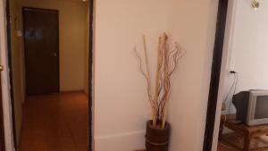 TV a/nebo společenská místnost v ubytování Hotel Turi Atacama