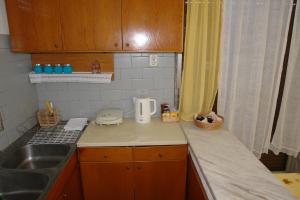 Η κουζίνα ή μικρή κουζίνα στο Antheia's House +38 φωτογραφίες