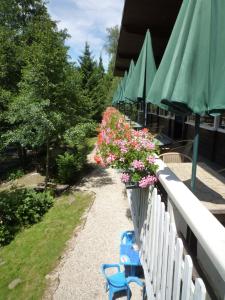 Zahrada ubytování Chalet du Montal
