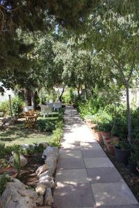 Zahrada ubytování B&B Solacium