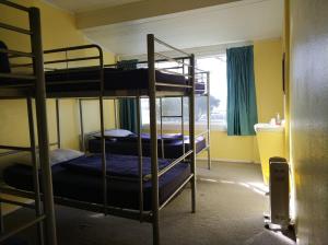 2 łóżka piętrowe w pokoju z oknem w obiekcie Napier Art House Backpackers w mieście Napier