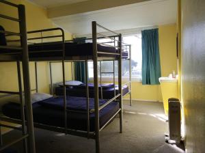 two bunk beds in a room with a window at Napier Art House Backpackers in Napier