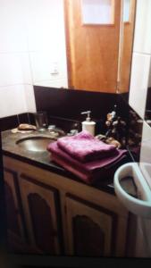 eine Badezimmertheke mit einem Waschbecken und einem lila Handtuch in der Unterkunft Luna de Valencia in Mar del Plata