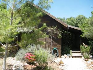 a log cabin with a garden in front of it at Ronit and Mario in Abirim