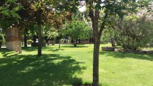 Vonkajšia záhrada v ubytovaní Centro San Viator