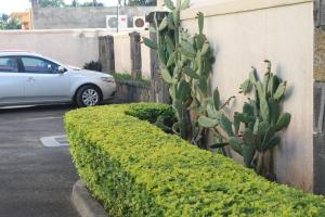 Giardino di Grand Bay Suites