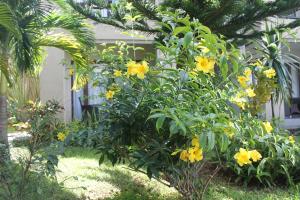 Giardino di Grand Bay Suites