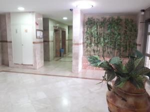 um lobby com uma planta em um vaso grande em Shoam street apartment sea view Ashdod em Ashdod