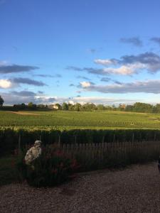 a teddy bear sitting in a field next to a fence at Au charmant des vignes in Montagne