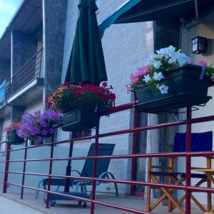 Afbeelding uit fotogalerij van Casa no Douro in Mesão Frio +29 foto's