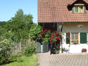 un chat assis devant une maison avec une clôture dans l'établissement Ferienwohnung Waldblick, à Kleinsteinhausen