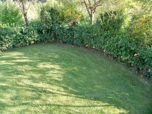 A garden outside IL Casaletto