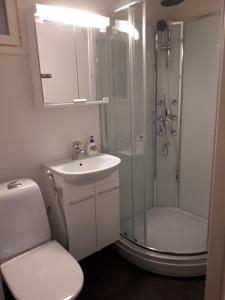 a bathroom with a shower and a toilet and a sink at Camping Tornio in Tornio