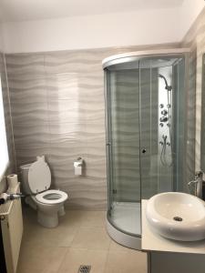 a bathroom with a shower and a toilet and a sink at Bucharest Center Villa by ACME RENT in Bucharest