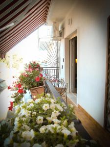 Un montón de flores están sentadas en un balcón en Tano's, en Giardini Naxos