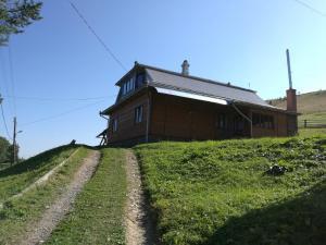 KrivopolʼyeにあるGutsulska Oselyaの草の丘の上に座る家