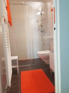 a bathroom with a shower and a toilet and a red rug at Appartement d'hôtes An Kaz La in Crans-Montana +31 photos
