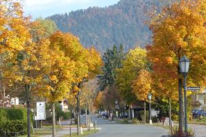 Príroda v okolí apartmánu