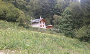 a house on the side of a hill at Chalet Immerso nel Verde in Strembo +8 photos