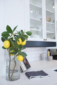 um vaso cheio de limões num balcão na cozinha em Aurora deluxe Guest House em Yellowknife