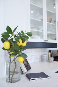 Gallery image of Aurora deluxe Guest House in Yellowknife