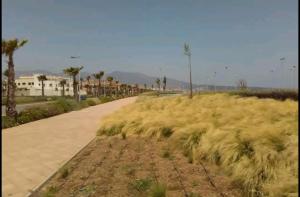 a field of tall grass next to a dirt road at Appartement a Nador in Nador