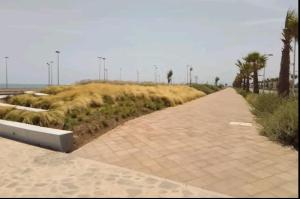 un campo de hierba alta junto a una carretera en Appartement a Nador, en Nador