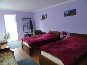 Postel nebo postele na pokoji v ubytování Nino Khetaguri Guest House