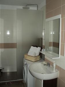 La salle de bains est pourvue d'un lavabo et d'un lave-linge. dans l'établissement Joy Apartment, à Timişoara