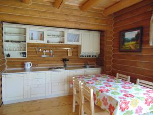 Köök või kööginurk majutusasutuses Leoslav Apartments