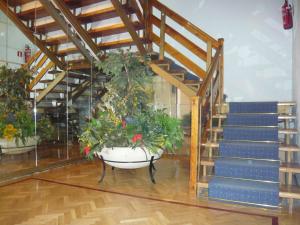 Fotografie z fotogalerie ubytování Hostal Triana v destinaci Madrid