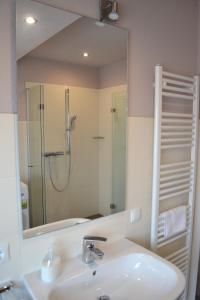 ein Bad mit einem Waschbecken, einer Dusche und einem Spiegel in der Unterkunft Steuerbord in Horumersiel
