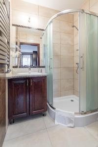 ein Bad mit einer Dusche und einem Waschbecken in der Unterkunft Hotel *** Rancho Lot in Nowy Targ