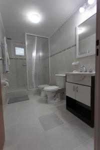 a bathroom with a toilet and a shower and a sink at Aparthotel Aldea Termal in Copahue