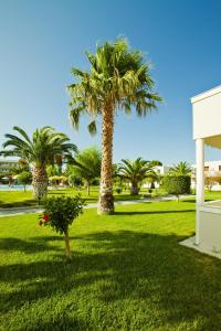Um jardim em Hotel Esperia