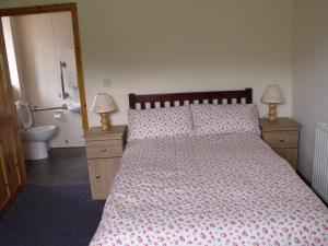 a bedroom with a bed and two lamps and a bathroom at cosy ground floor disabled friendly room in farm house in Bala
