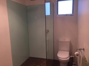 a bathroom with a toilet and a window at Glenaire apartments at Pontifex in Strahan