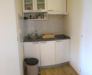 Kuchyň nebo kuchyňský kout v ubytování Apartment Mašić