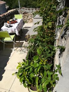 un jardín con una mesa y plantas en una pared en Un temps pour soi, en Serrières