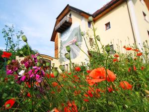un campo di fiori di fronte a un edificio di Steinschalerhof a Warth