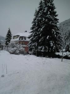 un árbol de Navidad cubierto de nieve frente a una casa en Villa Alessandra, en Colle Isarco